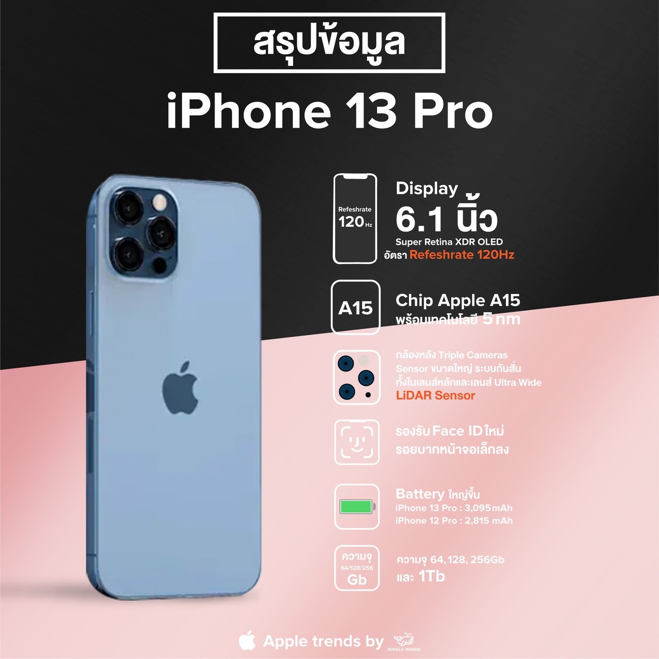 ไปส่องข้อมูล iPhone 13 กัน