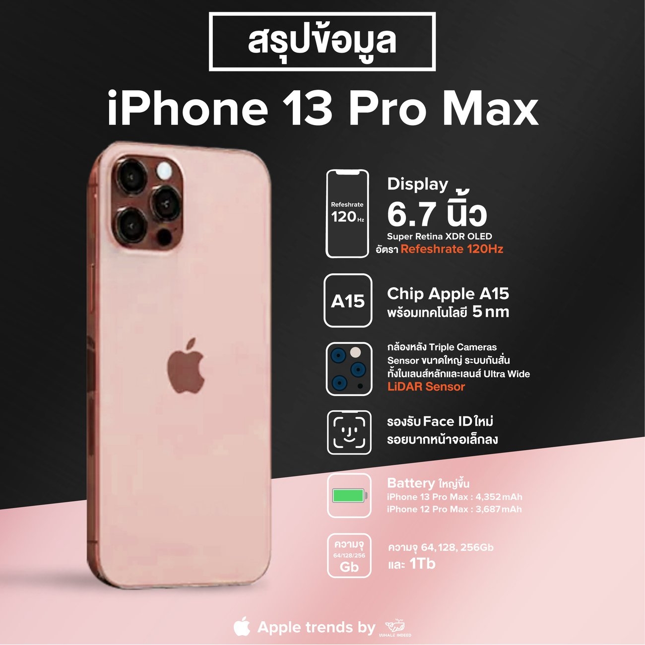 ไปส่องข้อมูล iPhone 13 กัน