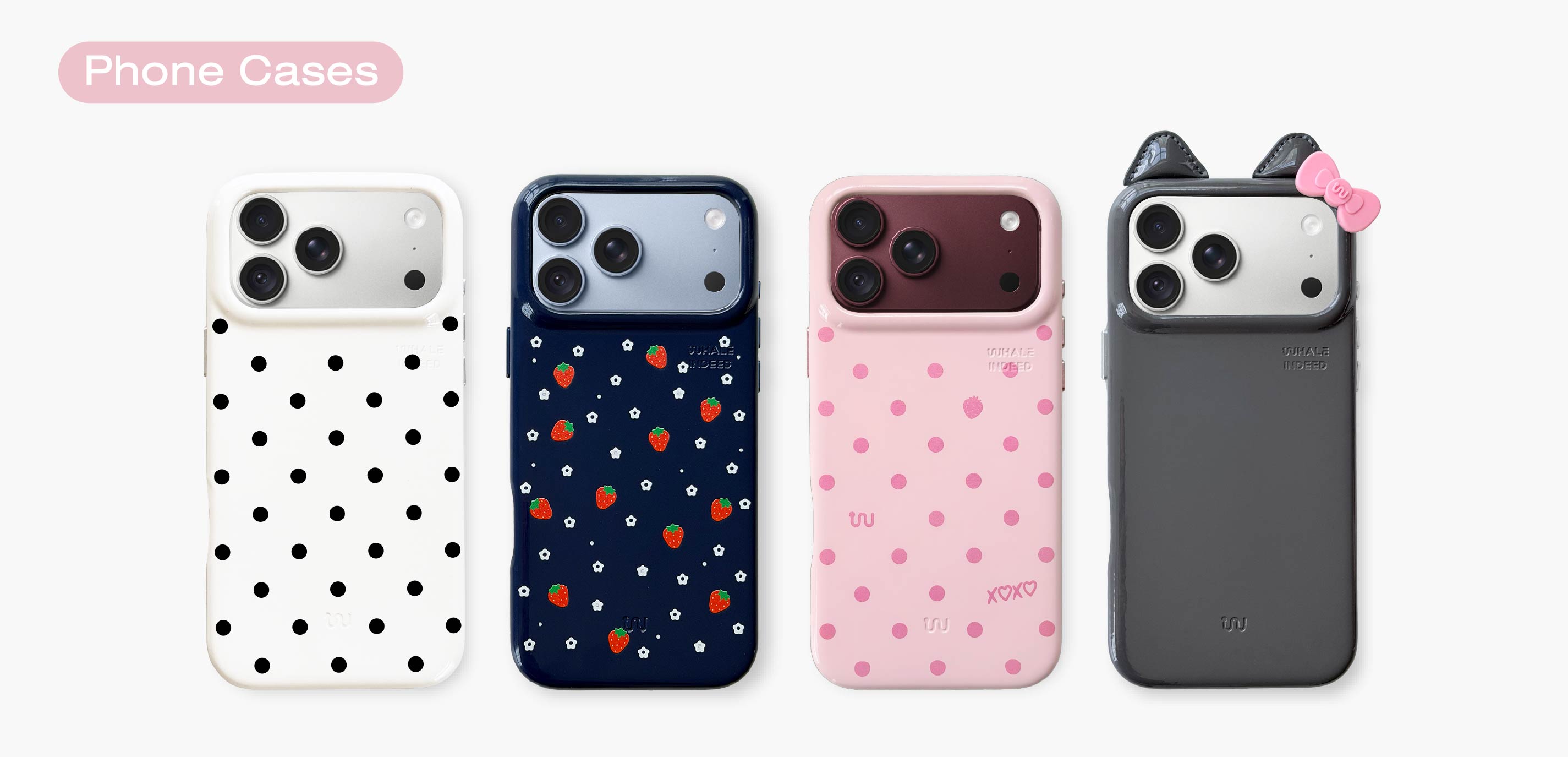 Case